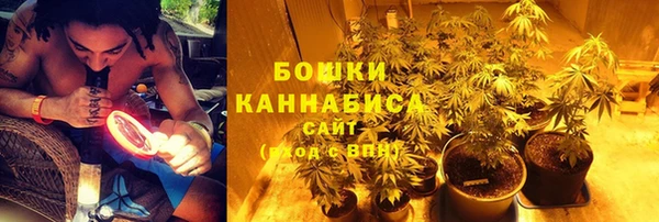 ГАЛЛЮЦИНОГЕННЫЕ ГРИБЫ Баксан